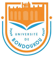 Université de Bondoukou